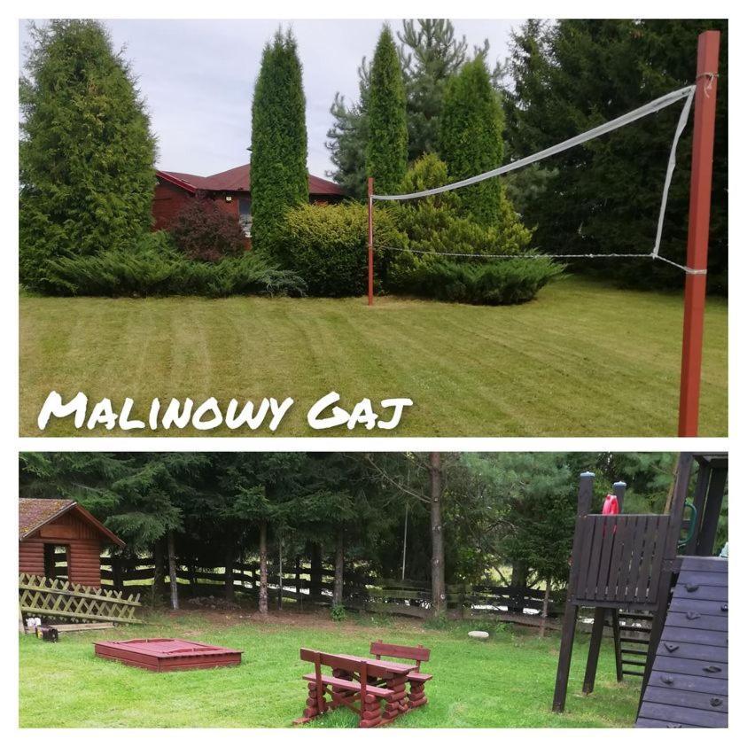 Malinowy Gaj - Agroturystyka Z Alpakami I Innymi Zwierzetami Swietajno  Luaran gambar