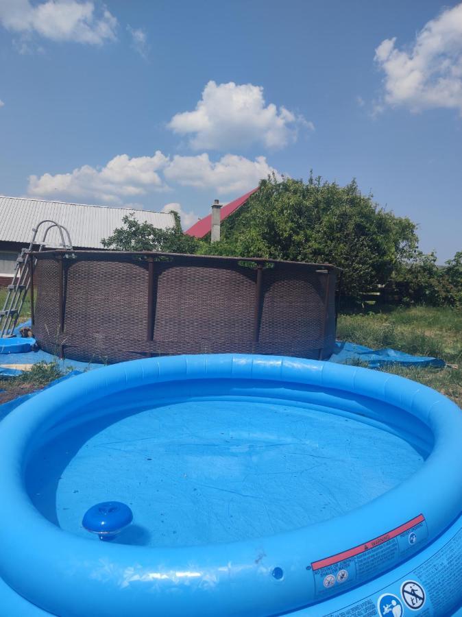 Malinowy Gaj - Agroturystyka Z Alpakami I Innymi Zwierzetami Swietajno  Luaran gambar