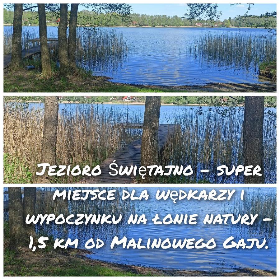 Malinowy Gaj - Agroturystyka Z Alpakami I Innymi Zwierzetami Swietajno  Luaran gambar