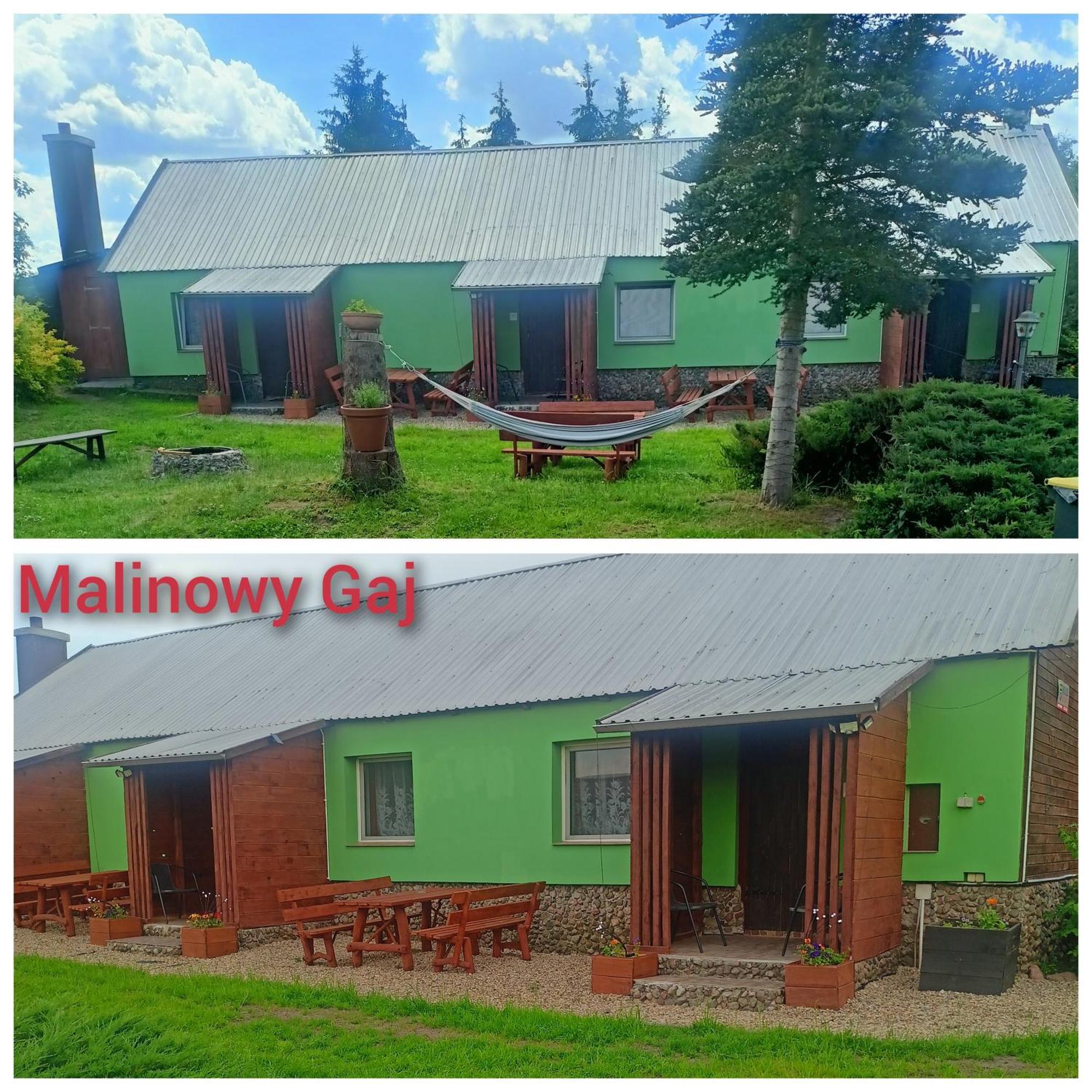 Malinowy Gaj - Agroturystyka Z Alpakami I Innymi Zwierzetami Swietajno  Luaran gambar