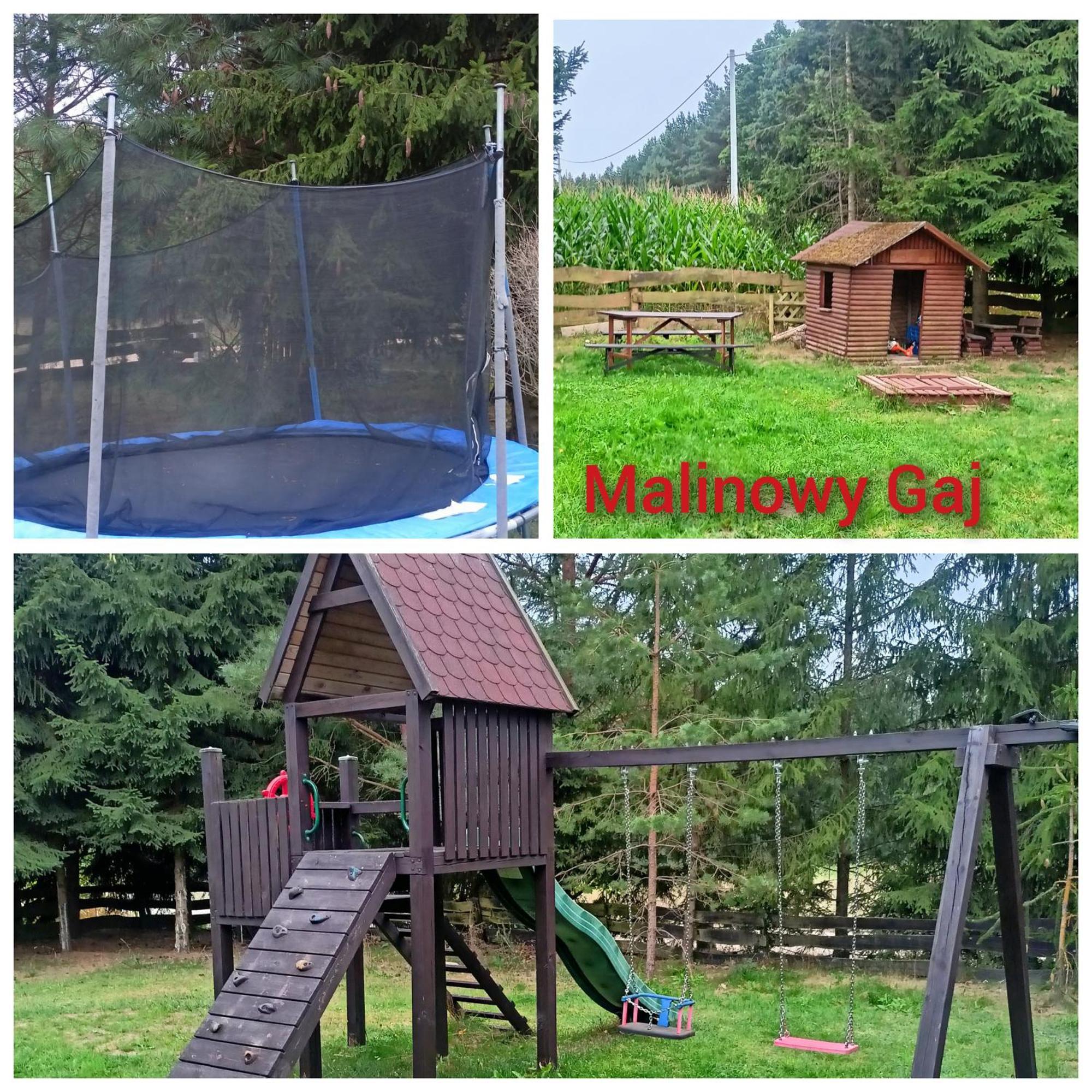 Malinowy Gaj - Agroturystyka Z Alpakami I Innymi Zwierzetami Swietajno  Luaran gambar