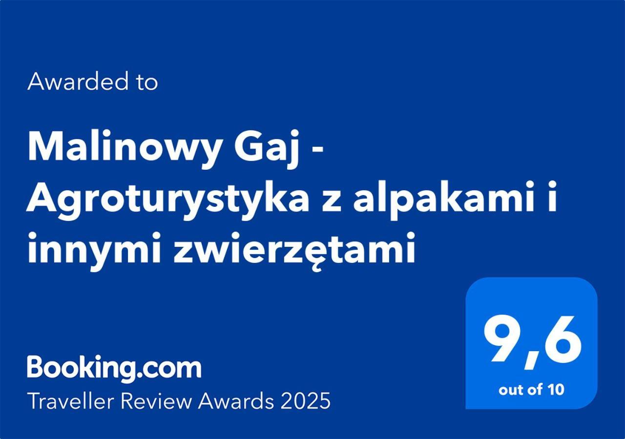 Malinowy Gaj - Agroturystyka Z Alpakami I Innymi Zwierzetami Swietajno  Luaran gambar